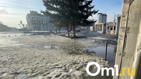 В Омской области за выходные снег опустился на 18 сантиметров