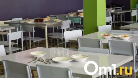 В омской школе нашли опасную столовую