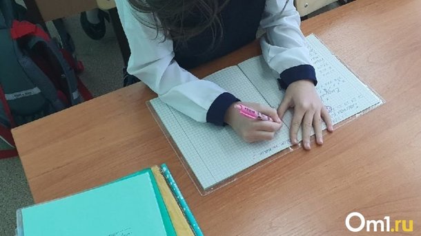 Большинство омских родителей посоветуют подросткам найти подработку