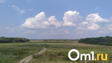 В Омской области обнаружили опасное насекомое