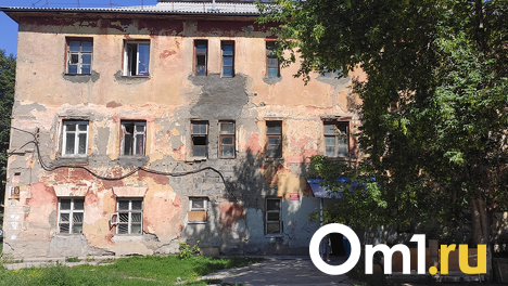 Дети играют с крысами: полчища грызунов заполонили аварийный дом Новосибирска. ВИДЕО