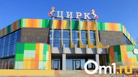 Подводная река кипятка уничтожает деревья у омского цирка