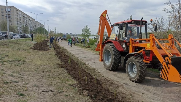 Омичей просят помочь в поливе саженцев на Иртышской набережной