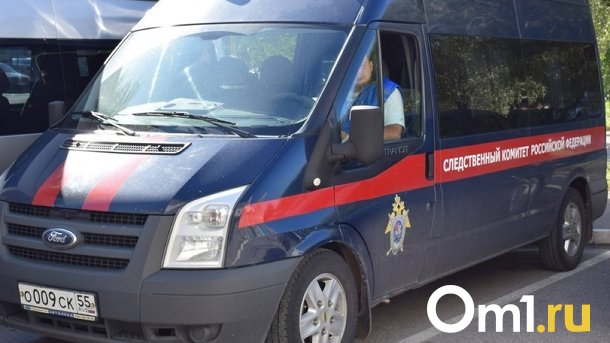 Бастрыкин проверит сообщения о нехватке работников скорой помощи в Новосибирске