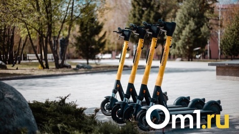 «Слабоумие и отвага — наше все!». Омичка об электросамокатах, лишивших её спины, но подаривших веру в лучшее