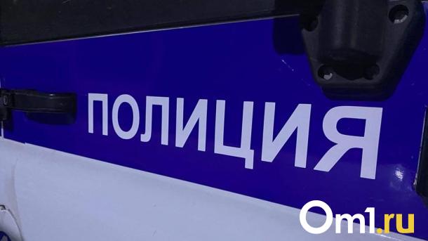 Исчезновение Даши Некрасовой: что известно спустя 17 лет?