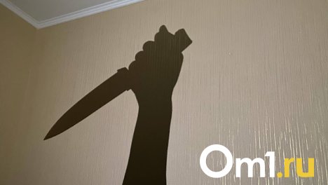 Под Омском молодой парень воткнул нож в грудь взрослому мужчине