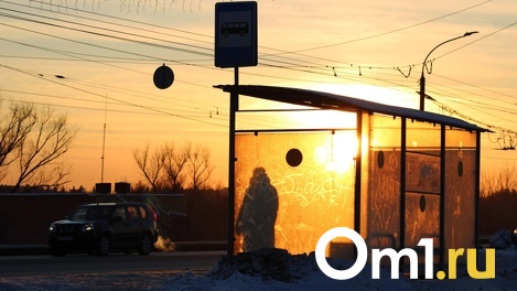 «Идти приходится по 3 километра»: в Омске автобус пропускал остановку из-за завалов снега