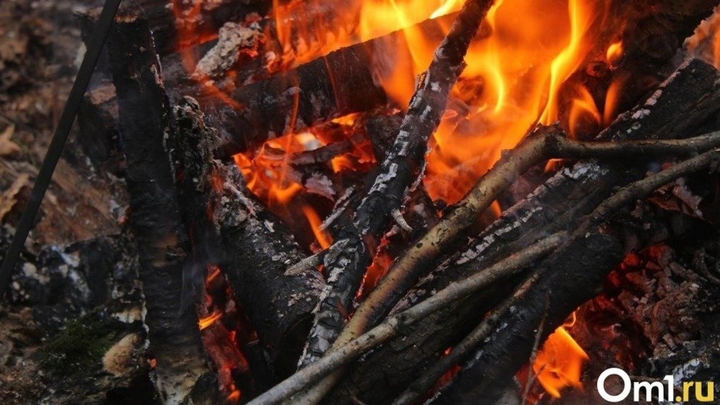 В Каргатском районе Новосибирской области вспыхнул крупный лесной пожар
