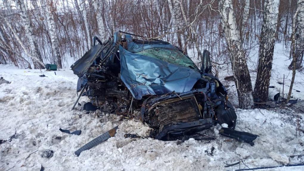 Врезался в дерево: мужчина погиб в ДТП под Новосибирском