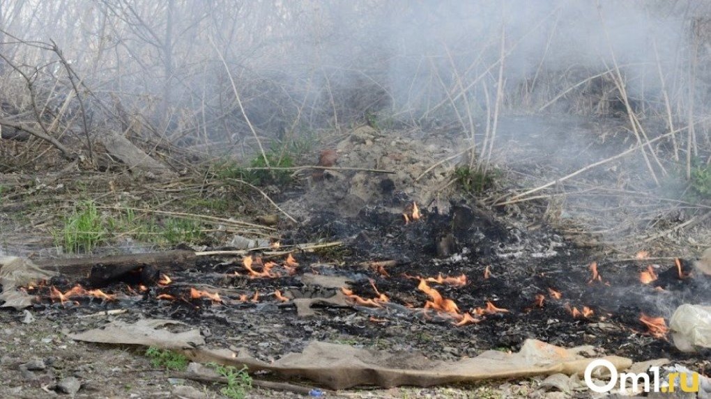 «Боимся возгорания, как в Называевске»: в нескольких районах Омской области произошли сильные пожары