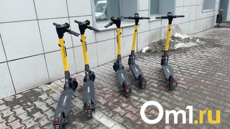Каталась вместе с отцом: в Омске девочка чуть не потеряла палец, упав с электросамоката