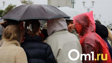 Погода в Омске на неделе порадует теплом после затяжных дождей