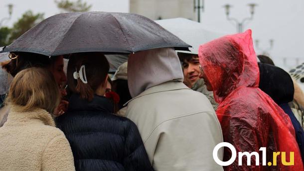 Погода в Омске на неделе порадует теплом после затяжных дождей