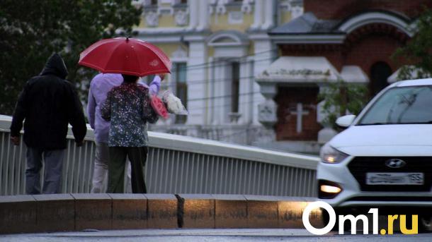 Жара, туман и грозы: омичей ждут непростые выходные