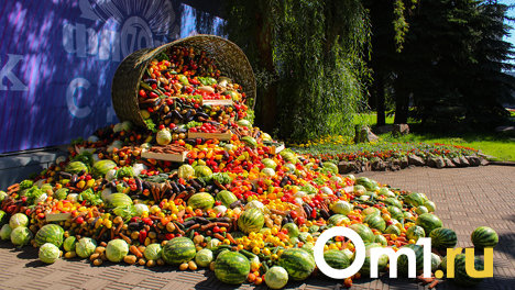 «Время выбрало нас». В мэрии Омска сообщили тематику «Флоры-2023»