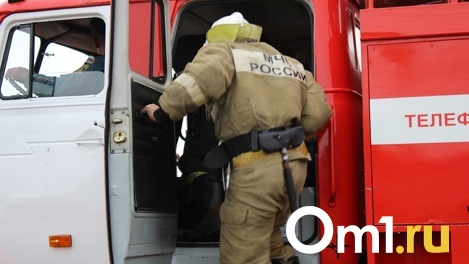 Двое взрослых и четверо детей отравились угарным газом в Новосибирской области