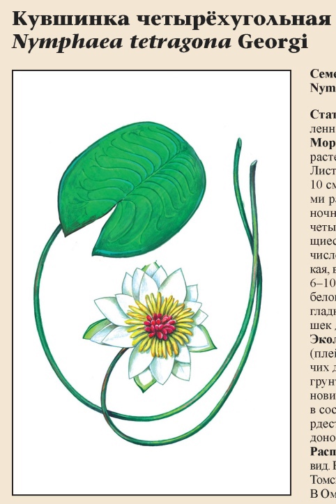 Изображение фоторепортажа