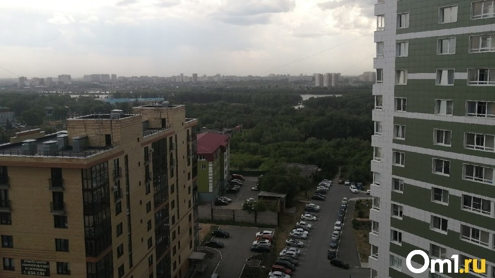 Крупный микрорайон в Омске останется без детского сада