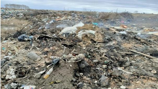 Любинская птицефабрика испортила почву под Омском птичьим помётом