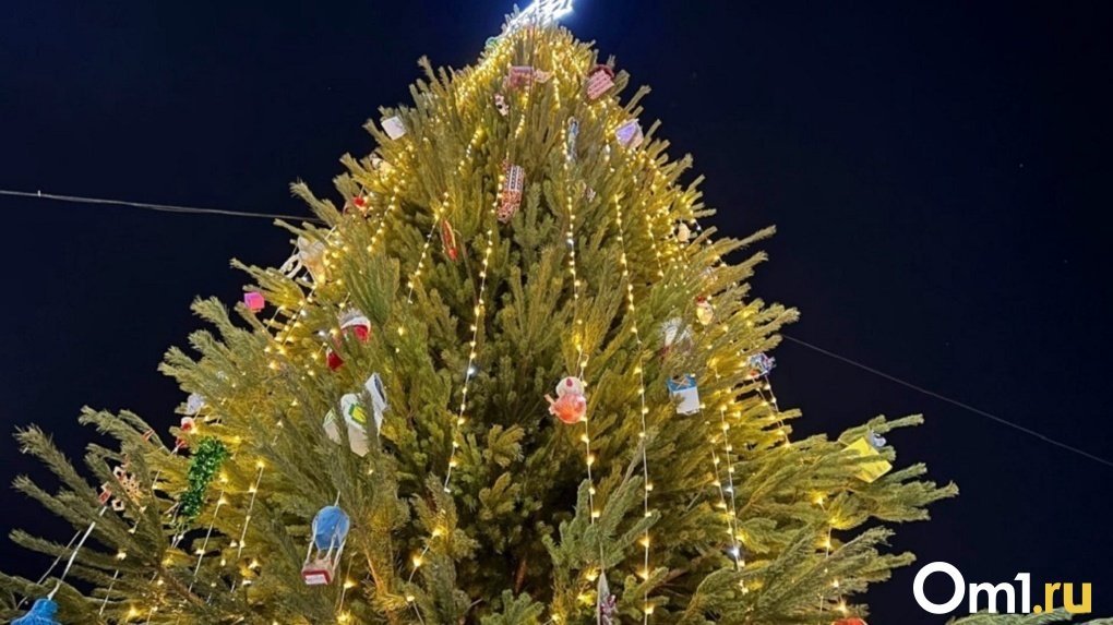 В Новосибирске почти на 30% подорожали новогодние деревья