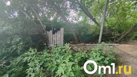 Бомжи обустроили шалаш в центре Новосибирска и живут там полгода
