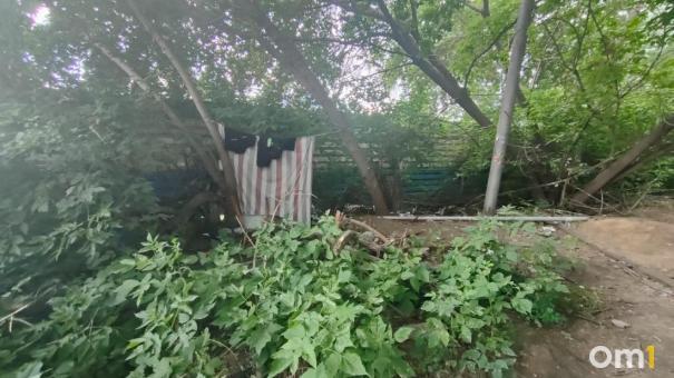 Бомжи обустроили шалаш в центре Новосибирска и живут там полгода