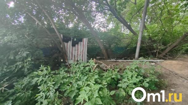 Бомжи обустроили шалаш в центре Новосибирска и живут там полгода
