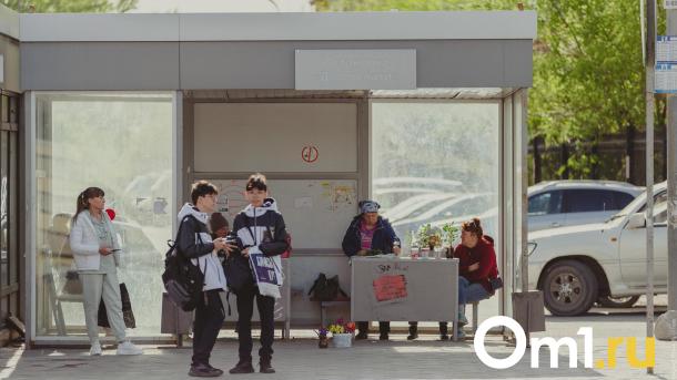 От сильного ветра в Омске перевернулась остановка