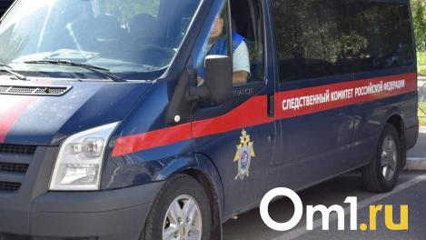 Бастрыкин запросил доклад по делу бабушки из Омска, которая ударила молотком 9-летнего внука