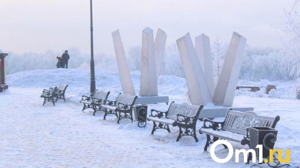 На Омск надвигается очередной мощный снегопад