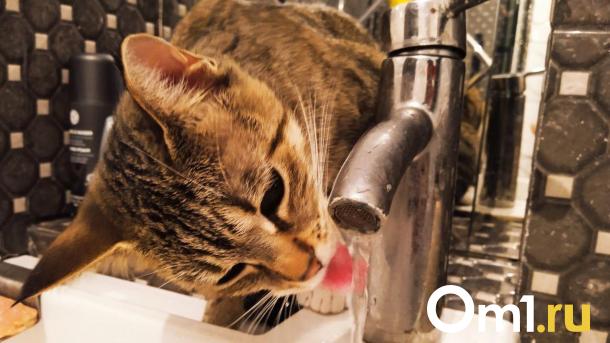 Половину жильцов омской многоэтажки хотят на месяц оставить без холодной воды