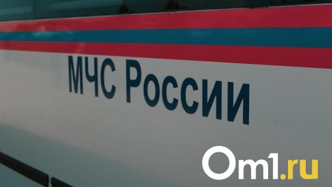 В Первомайском районе 38-летний новосибирец утонул на глазах у своей семьи