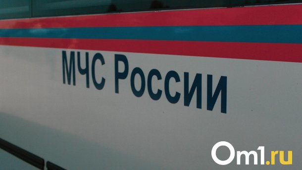 В Первомайском районе 38-летний новосибирец утонул на глазах у своей семьи