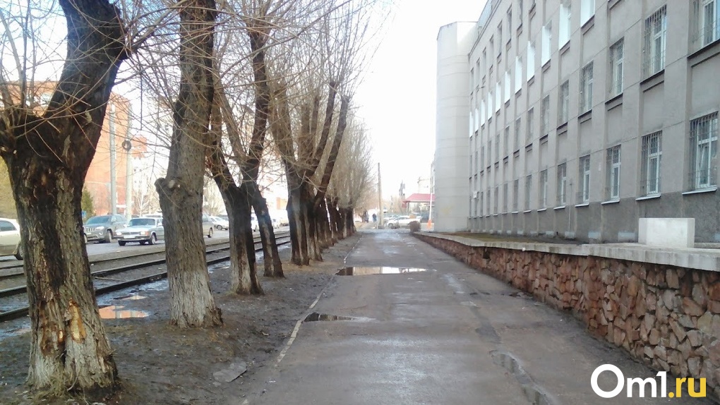 В Центральном округе Омска перекроют почти на сутки одну из улиц