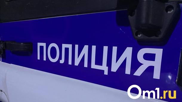 Необъяснимо, но факт: омич разделся догола и залез на козырёк подъезда