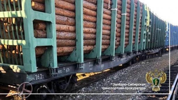 В Омске будут судить контрабандистов, которые вывезли лес на 150 миллионов