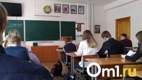 Вожатый или репетитор: в Омске часть учителей будут работать летом