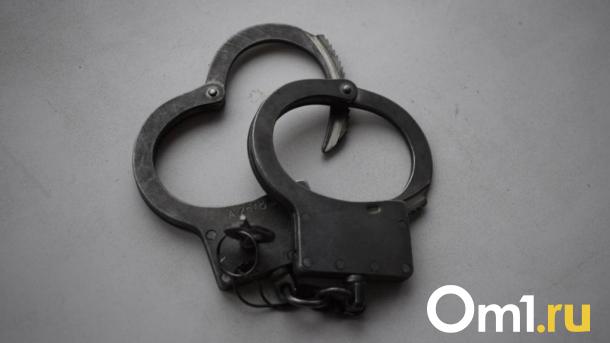 «Родственник попал в ДТП». В Омске задержали парня, который обманывал старушек