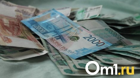 Многодетная омичка потеряла больше 100 тысяч рублей, устроившись на «удалёнку»