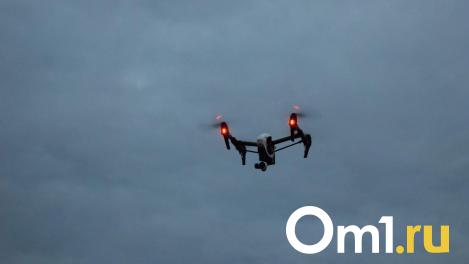 В Омске обнаружили незарегистрированный беспилотник в районе аэропорта