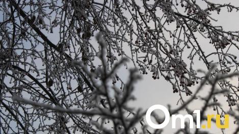 Туман и снежные заносы: синоптики объявили об ухудшении погоды в Омске