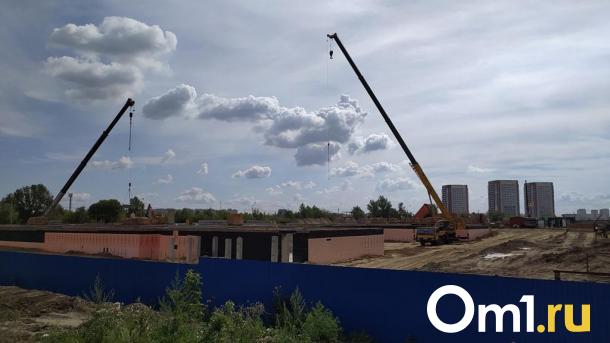 В Омской области ищут арендатора для участка под базу отдыха