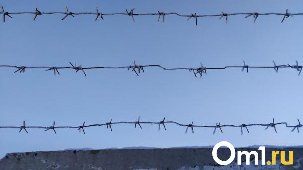 Новосибирскую пару осудили за попытку сбыта наркотиков через тайники-закладки