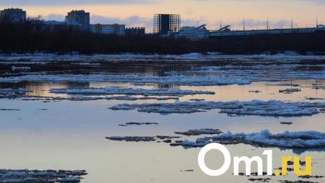 Вода поднимается до 33 сантиметров за сутки: в Омской области ускорилось таяние льда