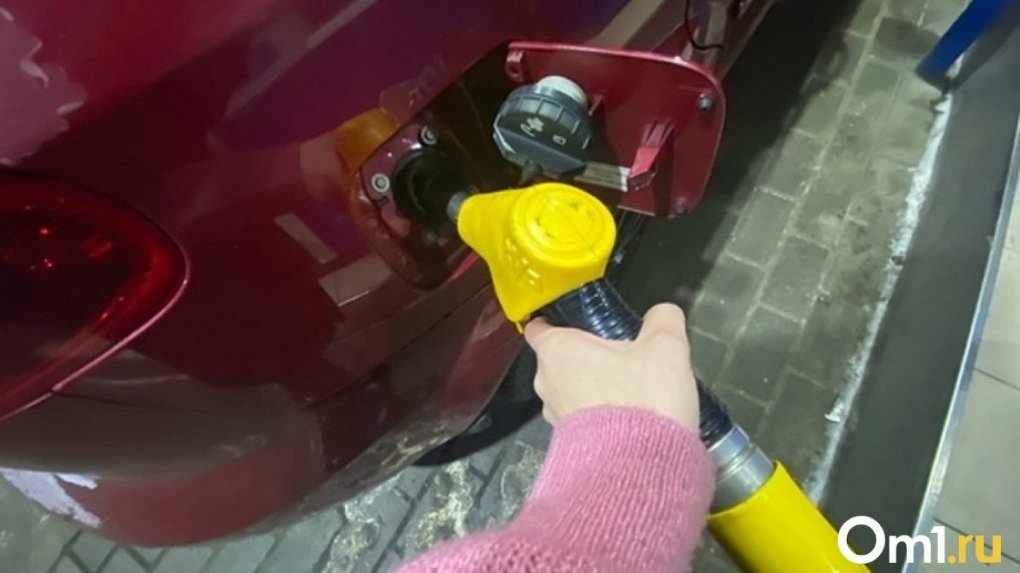 В Госдуме предложили ввести потолок розничных цен на бензин