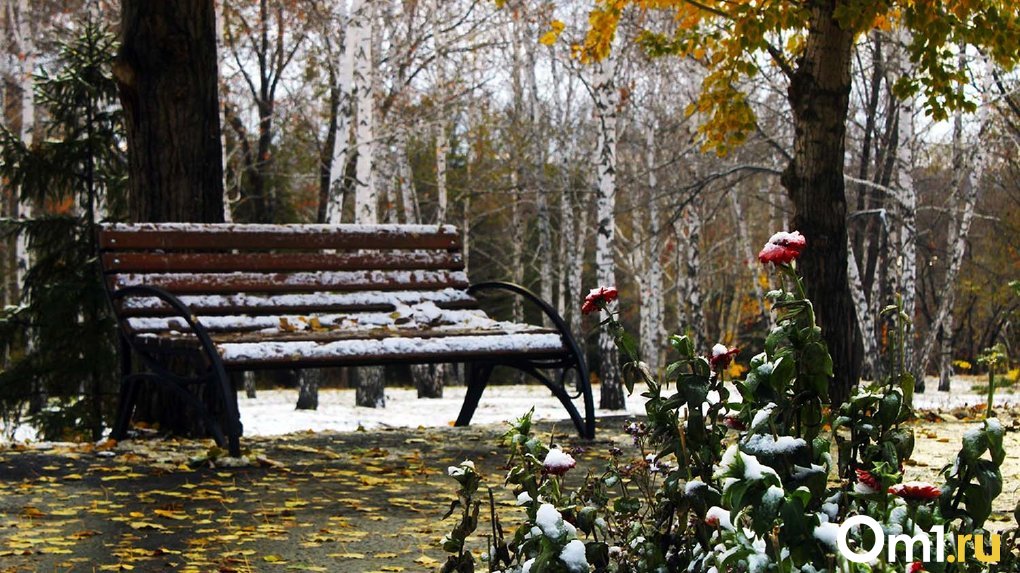 Омичи лепят снеговиков: фоторепортаж с первого снежного дня в городе