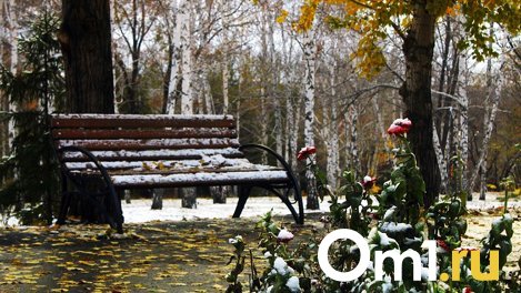 Омичи лепят снеговиков: фоторепортаж с первого снежного дня в городе