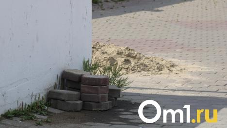 Омичи возмутились ремонту набережной