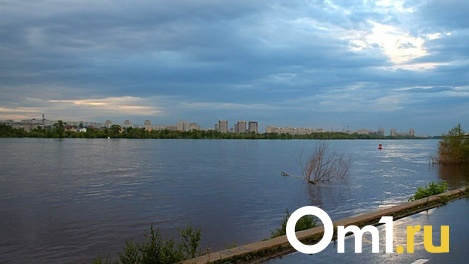 Омич поймал в Иртыше необычную живность. ФОТО